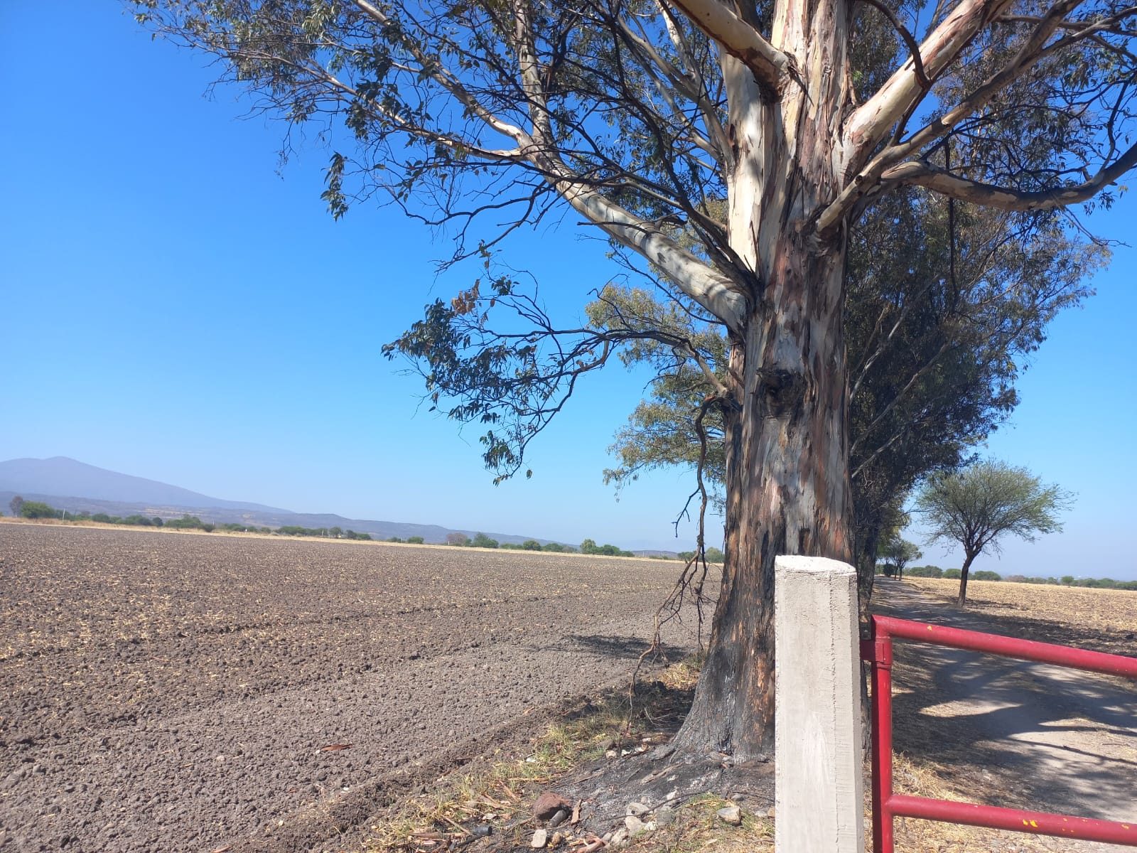 Terreno Venta frente al  ITESI, Plantel Tarimoro, Gto. 49,000 mts.